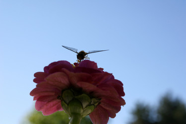 Similar image 8075178