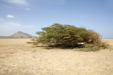 Similar image 8075179