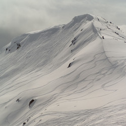 Similar image 8075181