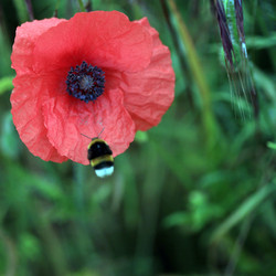 Similar image 8075182