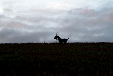 Similar image 8075193