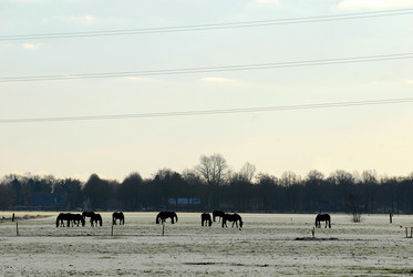 Similar image 8075202