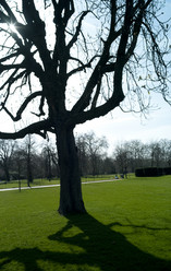 Similar image 8075204