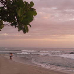 Similar image 8075205