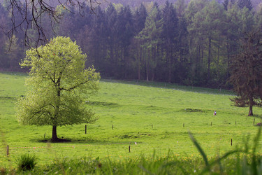 Similar image 8075218