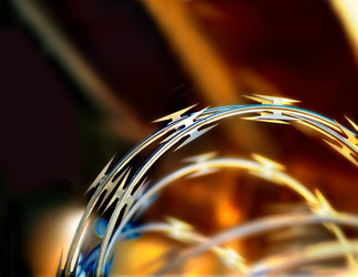 Similar image 8075225