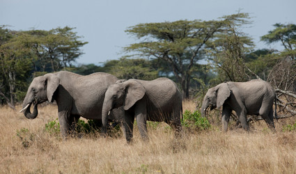 Similar image 8075228