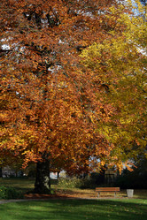 Similar image 8075240