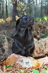 Similar image 8075255