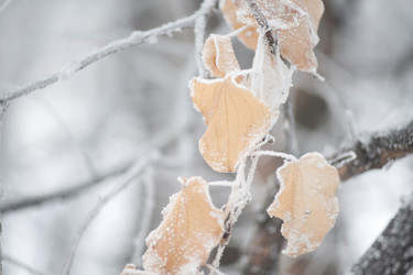 Similar image 8075257