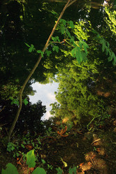 Similar image 8075261