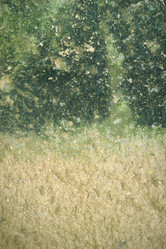 Similar image 8075262