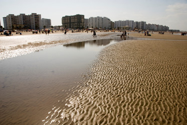 Similar image 8075273