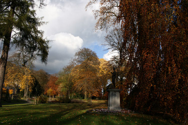 Similar image 8075275