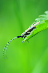 Similar image 8075280