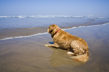 Similar image 8075281