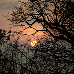 Similar image 8075297