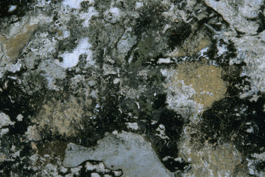 Similar image 8075299