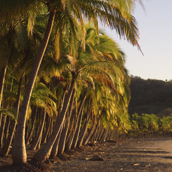 Similar image 8075306