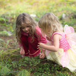 Similar image 8075313