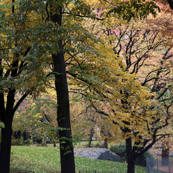 Similar image 8075316