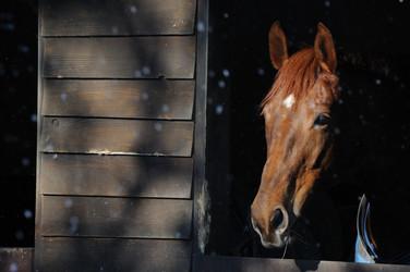 Similar image 8075319