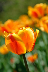 Similar image 8075324