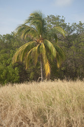 Similar image 8075329