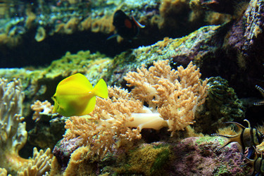 Similar image 8075332