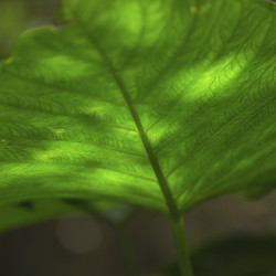 Similar image 8075338