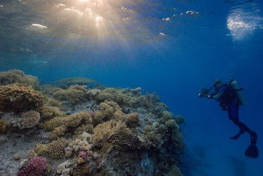 Similar image 8075343