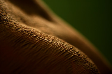 Similar image 8075344