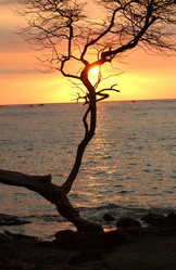 Similar image 8075351