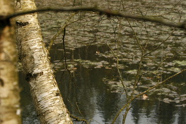 Similar image 8075363