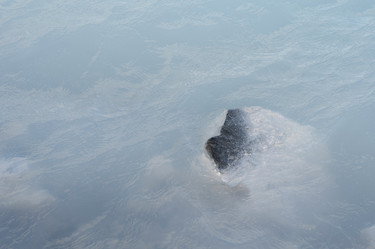 Similar image 8075366