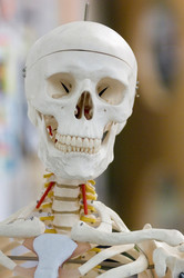 Similar image 8075368