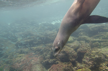 Similar image 8075371