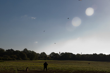 Similar image 8075378