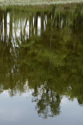 Similar image 8075382