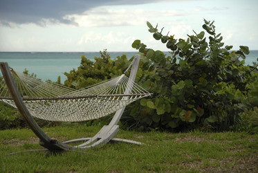 Similar image 8075383