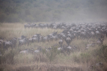 Similar image 8075387