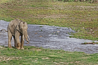 Similar image 8075388