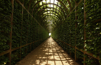 Similar image 8075395