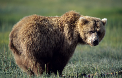 Similar image 8075400