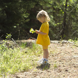 Similar image 8075405