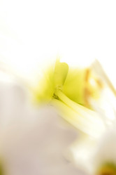 Similar image 8075407