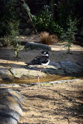 Similar image 8075408