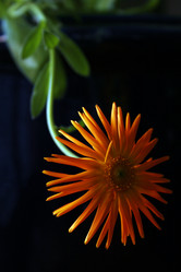 Similar image 8075411