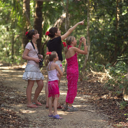 Similar image 8075416