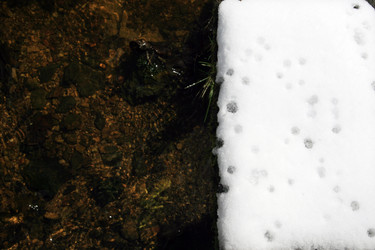 Similar image 8075423